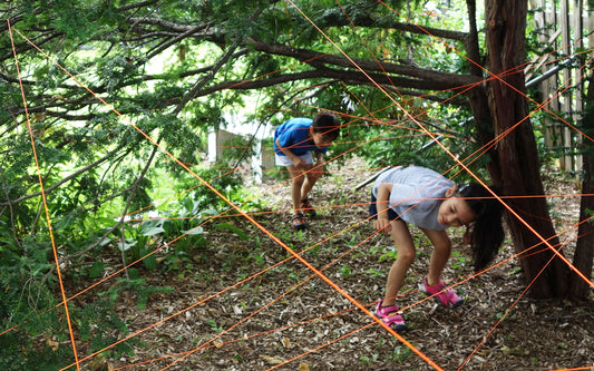 HOW TO: Build an Obstacle Course