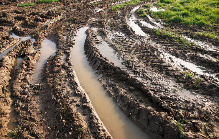 Field + Work Boots >