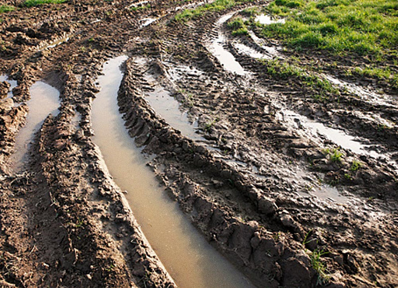 Field + Work Boots >